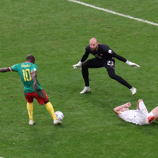 Camerun-vs-Serbia-Mundial-2022-4-scaled-1.jpg ,