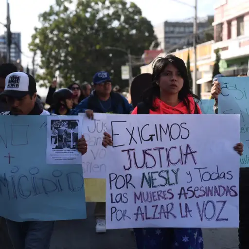 manifestacion-diciembre-2022.jpg ,