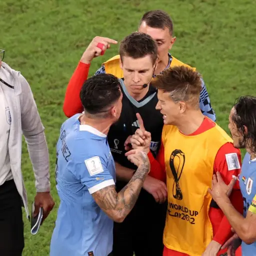 arbitro-uruguay-ghana-4.jpg ,