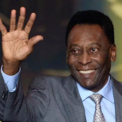 pelecriticalione-977663dc712837933464f0ba3e6012ba.jpg ,