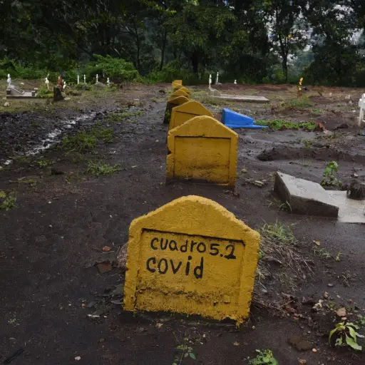 312222655_496051742239854_6032393392358561238_n.jpg ,