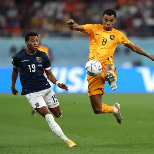 Paises-Bajos-vs-Ecuador-Mundial-2022-4.jpg ,