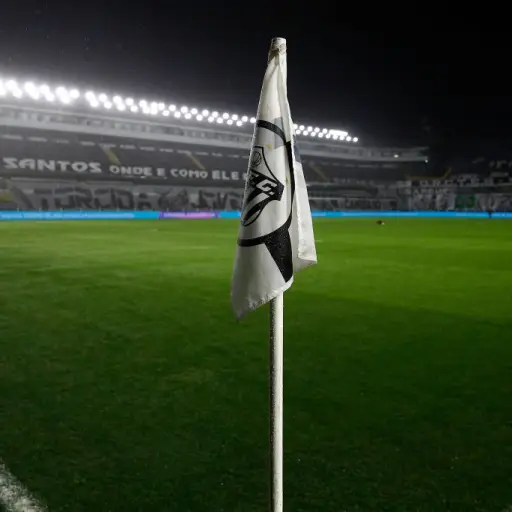 VilaBelmiro-estadio-pele-1.jpg ,