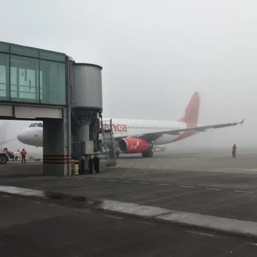 neblina-16-de-enero-2023.jpeg ,