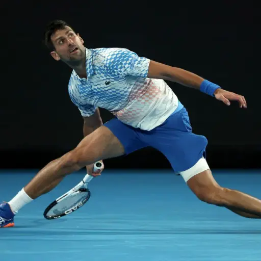 djokovic-australian-open-2.jpg ,