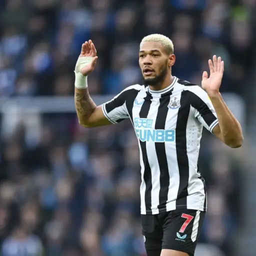 joelinton-newcastle-1.jpg ,