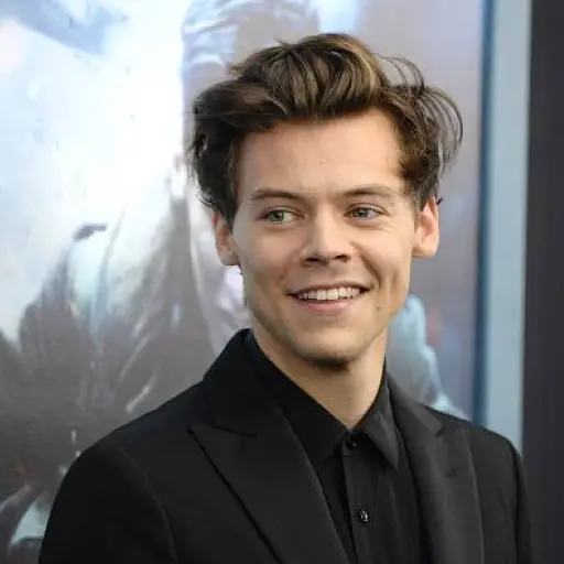 harrystyles-46e5f664865398e6ef40e479a64fc4c3-1.jpg ,