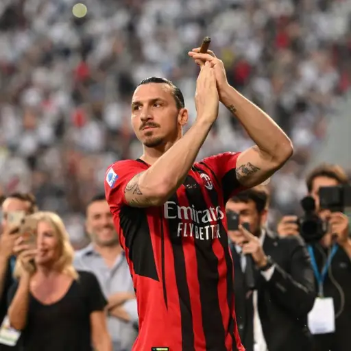 zlatan-ibrahimovic-2.jpg ,