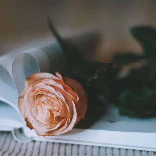 dia-carino-afganistan-febrero-2023.jpg ,