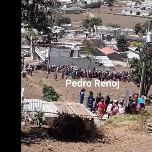 ataque-perros-san-Andres-xecul.jpg ,