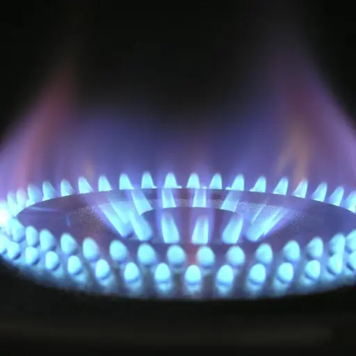 llama-ornilla-gas-propano.jpg ,