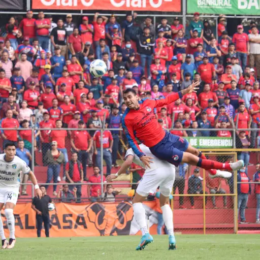 Municipal-posibles-sanciones-por-lanzar-objetos-scaled-1.jpg ,