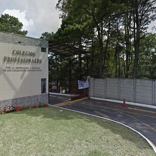 Colegio-de-Medicos-pide-respetar-inocencia-en-caso-de-extraccion-ilegal-de-organos-1.jpg ,