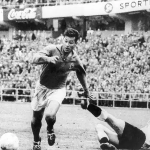 just-fontaine-2.png ,