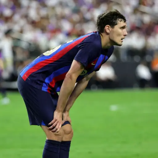 christensen-lesion-2.jpg ,