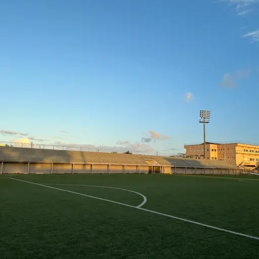 ffb-field-belice-2.jpg ,