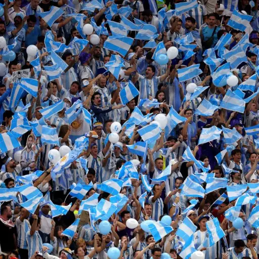 argentina-organizara-el-mundial-sub-20.jpg ,