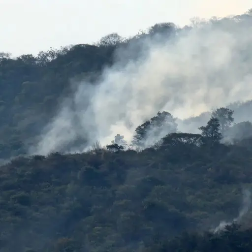 incendio-forestal.jpg ,