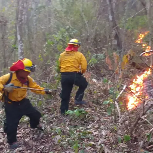 incendios-forestales-Peten-abril-2023.jpg ,