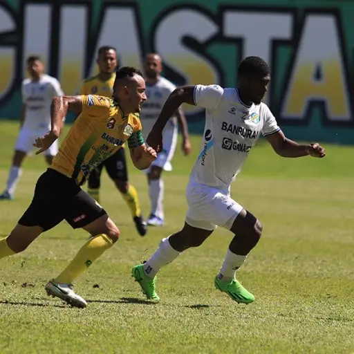 gustatoya-comunicaciones-2.jpg ,