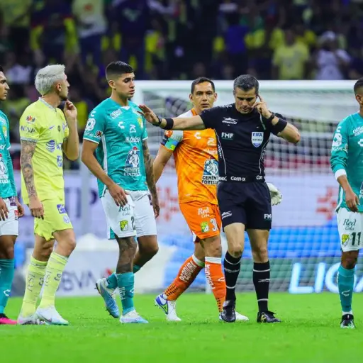 fernando-fernandez-america-leon-2.jpg ,