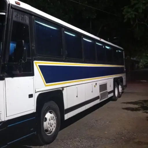 Capturados-por-transportar-migrantes.jpeg ,