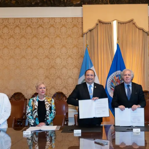 Mision-OEA-abril-2023.jpg ,