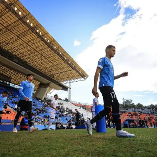 uruguay-mundial-2.jpg ,