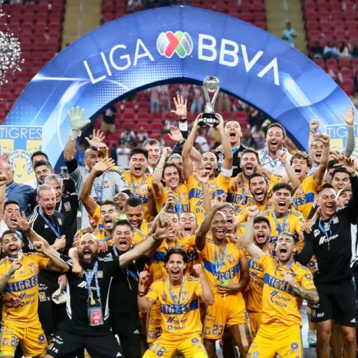 Tigres-campeon-del-futbol-mexicano.jpg ,