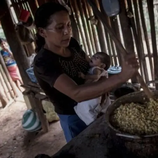 prestamoparacombatirdesnutricion-847f4ba9f8b9e1a70e25c1a7f57af568.jpg ,