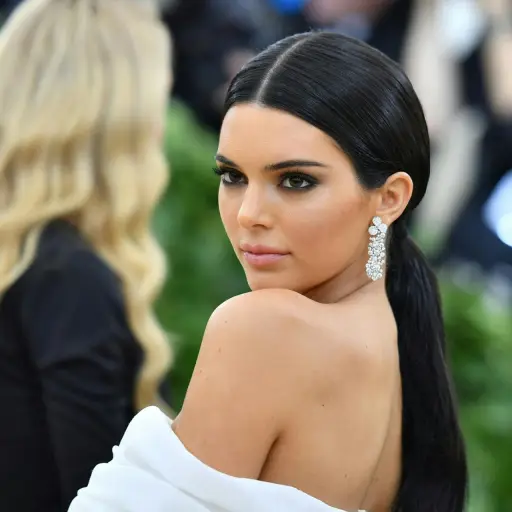 kendalljenner-4810ebda36c9a46d33fa695067452241.jpg ,