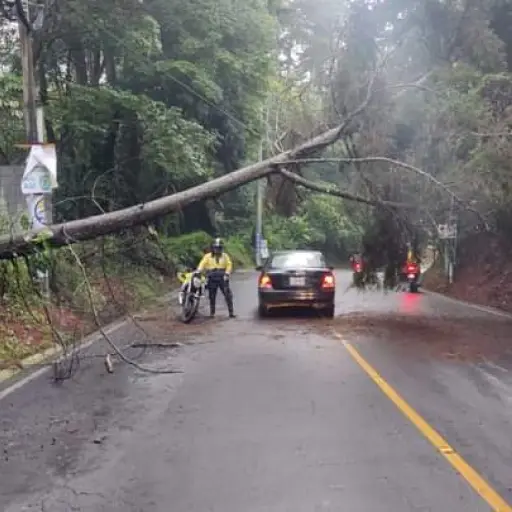Conred-Elecciones-junio-2023.jpg ,