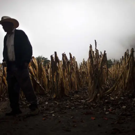 caniculaprolongada-46ac66d32571de00affe32f05c977ae6.jpg ,