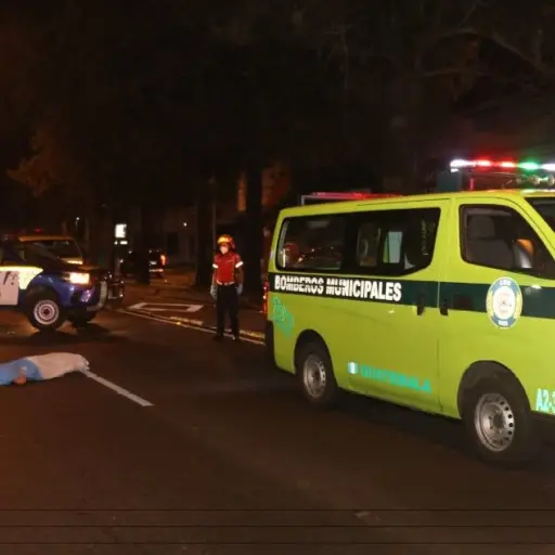 ATROPELLADO-JULIO-2023.jpg ,