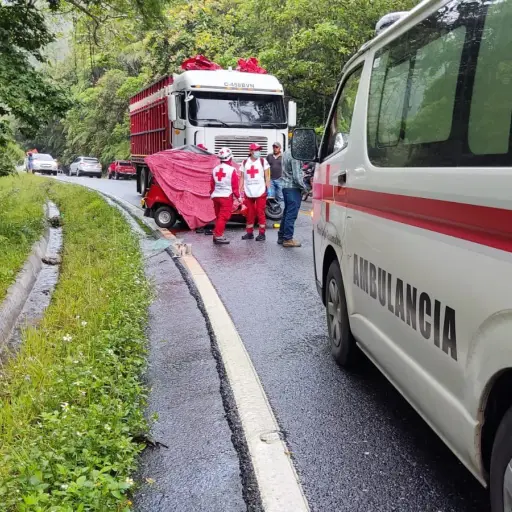 Camion-choca-contra-tuc-tuc-julio-2023.jpg ,