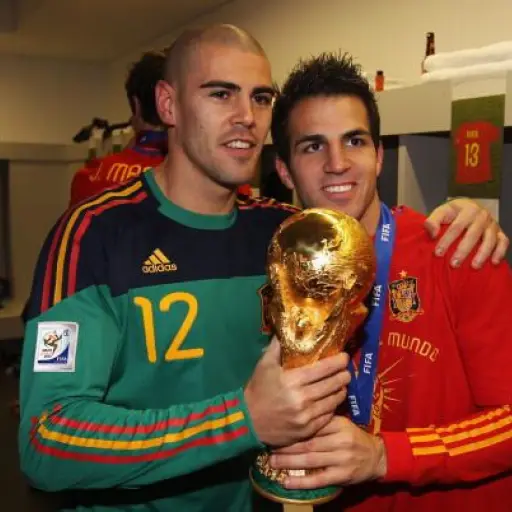 fabregas-retiro-2.jpg ,