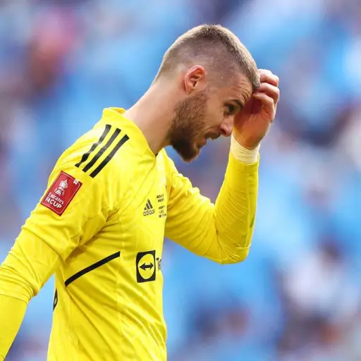 david-de-gea-manchester-united-2.jpg ,