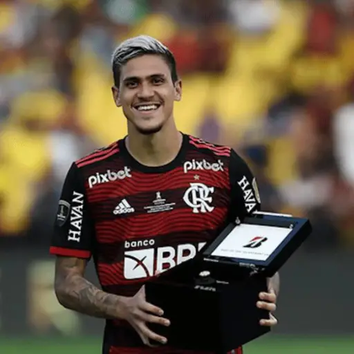 pedro-guilerme-flamengo-julio-2023.png ,