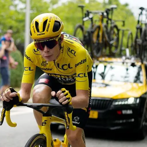 jonas-vingegaard-tdf-2023-2.jpg ,