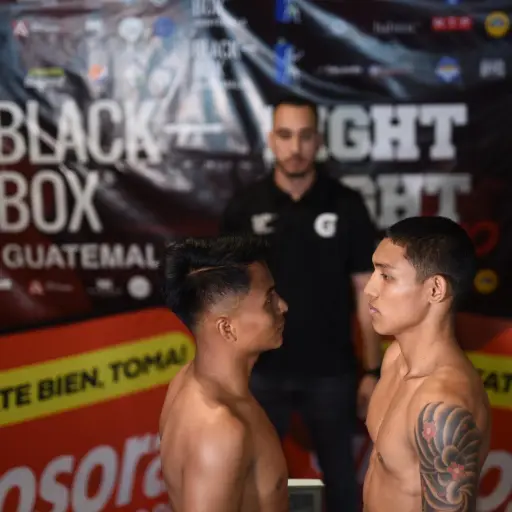 fight-night-box-4.jpg ,