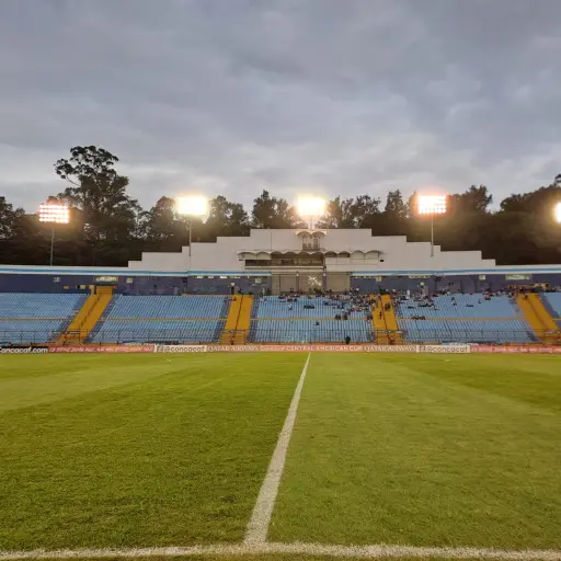 gerardo-paiz-habla-de-la-gramilla-de-estadio-nacional-agosto-2023-1.jpeg ,