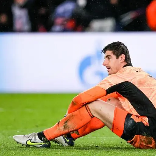 lesion-courtois-2.jpg ,
