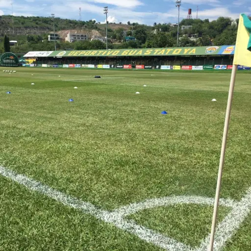 estadio-david-cordon-hichos-2-1.jpg ,