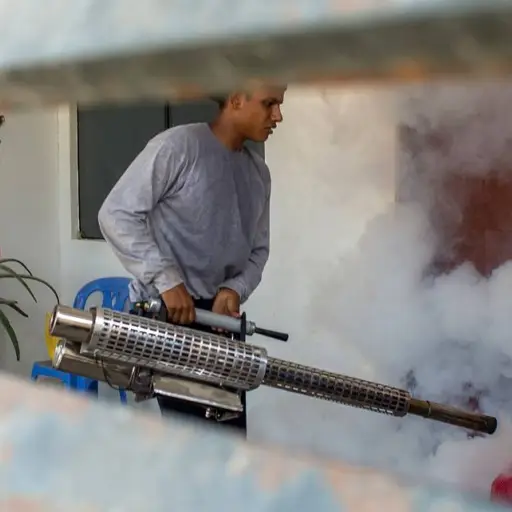 brotedengueperum-114c111d288068149126bd82b442ceb1.jpg ,