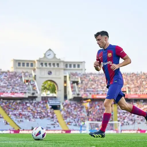 pedri-lesion-2.jpg ,