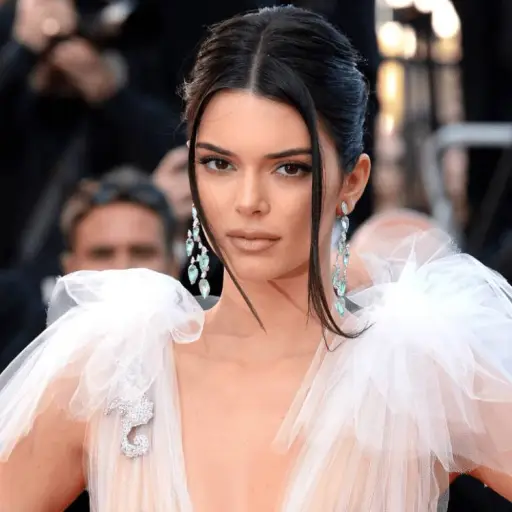 kendall-jenner.png ,