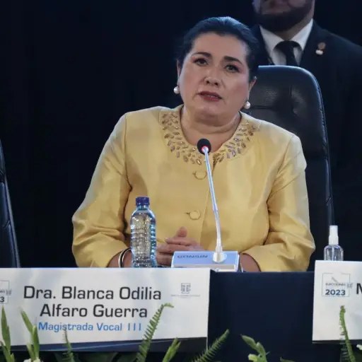 Blanca-Alfaro-Magistrada-TSE.jpg ,