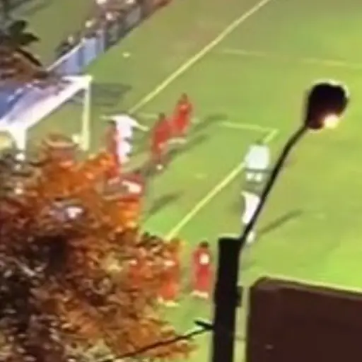 aficionados-de-guatemala-vieron-partido-desde-un-arbol.jpg ,