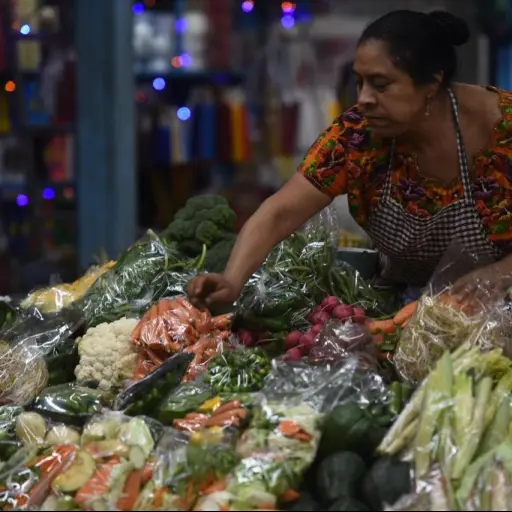 canastabasicapub-729f57100c74d5285119589545e277ce.jpg ,