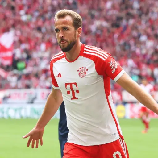 harry-kane-2.jpg ,